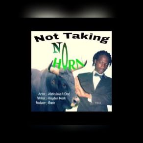 Download track Not Taking Horn Meticulous One