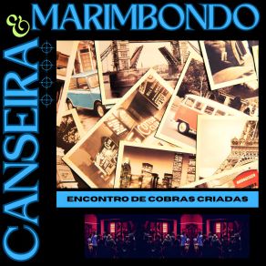 Download track Roupa Feita Marimbondo