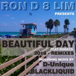 Download track Beautiful Day (Bassomatic Remix) Nanaya