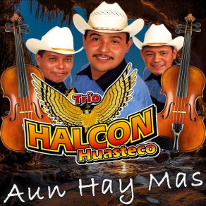 Download track EL GALLO Trio Halcon Huasteco