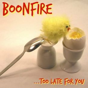 Download track Why Stay BoonFire