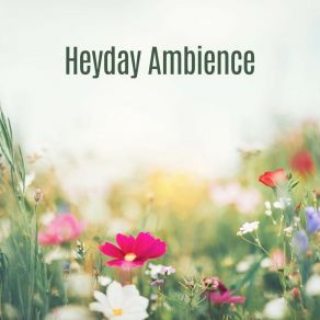 Download track Heyday Ambience, Pt. 18 Zona Música Relaxante