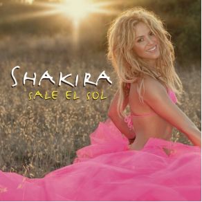 Download track Waka Waka (This Time For Africa)  Shakira