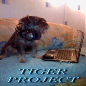 Download track My Dreams - DJ TIGER2008 (Album Version) Tiger Project (Ex Dj Tiger2008)