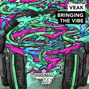 Download track Execute That Veak