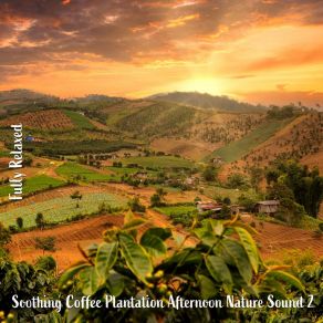 Download track Soothing Coffee Plantation Afternoon Nature Sound, Pt. 18 Steve Brassel