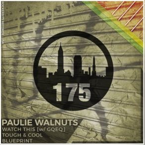 Download track Blueprint (Original Mix) Paulie Walnuts