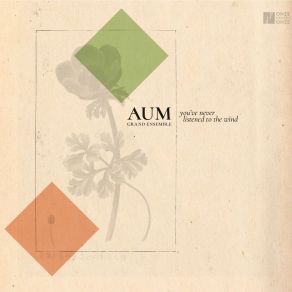 Download track You've Never Listened To The Wind, Pt. 1 AUM Grand Ensemble