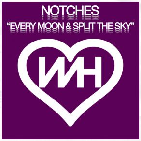 Download track Split The Sky Notches