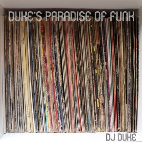 Download track Duke's Paradise Of Funk (Original) DJ Duke