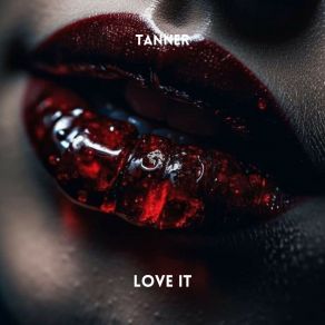 Download track Love It (Radio Edit) Tanner