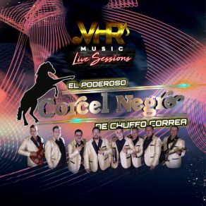 Download track Un Sueño Corcel Negro De Chuffo Correa