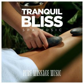 Download track Spa Background Music Pure Massage Music