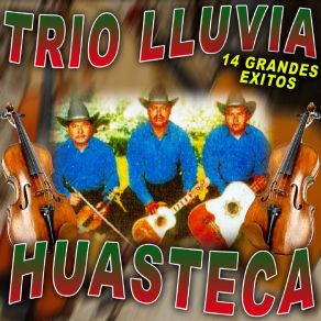 Download track Como Han Pasado Los Años Trio Lluvia Huasteca