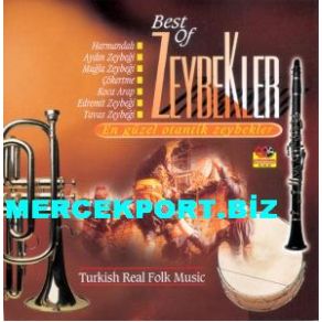 Download track Aydın Zeybeği Fehmi Ünlüyayla, Mustafa Ergene