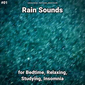 Download track Dreamlike Rain Sounds Nature Sounds