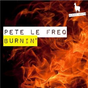 Download track Turn Your Love (Original Mix) Pete Le Freq