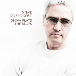 Download track The Wild Bird Flies Steve Dobrogosz