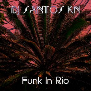 Download track Funk In Rio (Slowed + Reverb Tik-Tok Remix) DJ SANTOS KN