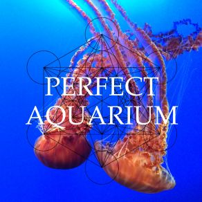 Download track Euphoric Tsunami' Perfect Aquarium