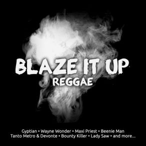 Download track Fly High (Pop Reggae Mix) Maxi Priest