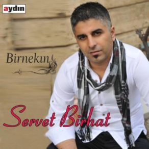 Download track Ay Servet Birhat