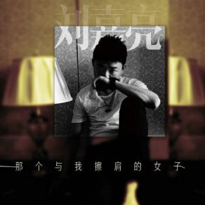 Download track 那个与我擦肩的女子 (伴奏版) Liu Jia Liang