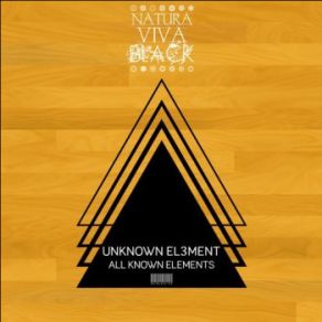 Download track New York (Original Mix) Unknown El3ment