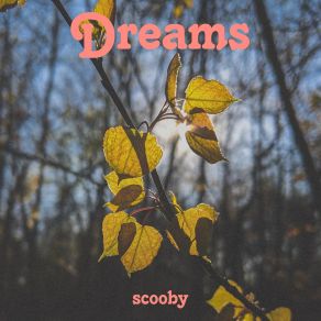 Download track After A Long Time Scooby