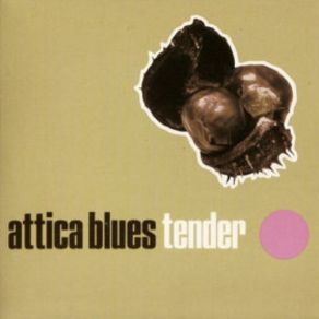 Download track Tender (Bonus Beats) Attica Blues