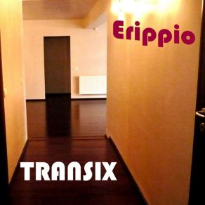 Download track Cico Do Brasil (Brasiltech Mix) Erippio