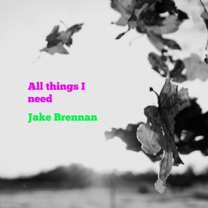 Download track Count One Two Three Jake Brennan