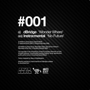 Download track Wonder Where Instra: Mental, D - Bridge