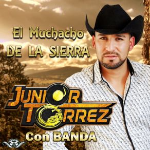 Download track El Muchacho De La Sierra JUNIOR TORREZ