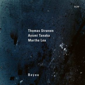 Download track Eyre Thomas Strønen, Ayumi Tanaka, Marthe Lea