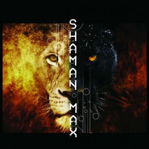 Download track J'fais Du Sale ShamanMax