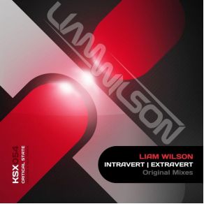 Download track Extravert (Original Mix) Liam Wilson