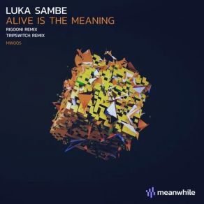 Download track Alive Is The Meaning (Tripswitch Remix) Luka Sambe