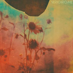 Download track Helianthus Midday Static