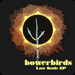 Download track Pigeon Bowerbirds