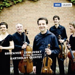 Download track Intermezzo Für String Quintet In D Minor, WAB 113 Bartholdy Quintet