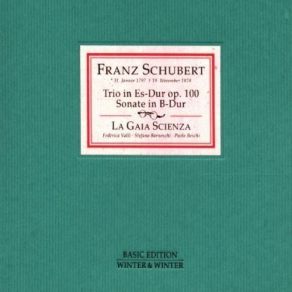 Download track 2. Piano Trio No. 2 In Es-Dur D. 929 Op. 100: Andante Con Moto Franz Schubert