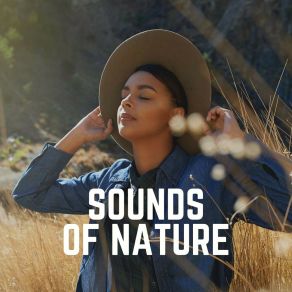 Download track Sell The Nature To Conserve Zen Garden Secrets