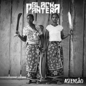 Download track Não Fode O Meu Rolê Black Pantera