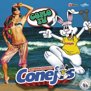 Download track Chingonazo # 10: Barriga De Coche (Cuche) / Beber Yo Quiero Beber Internacionales Conejos