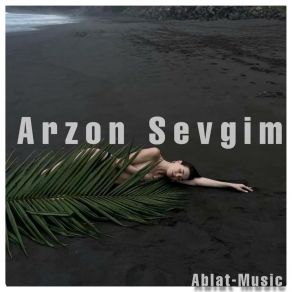 Download track Arzon Sevgim (伴奏版) 阿宝-MUSIC