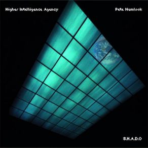 Download track Skydiver Pete Namlook, The Higher Intelligence Agency