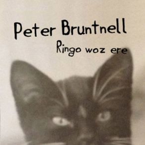 Download track Gone For Now Peter Bruntnell