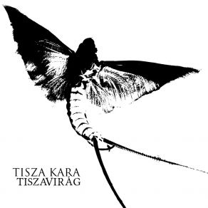 Download track Ébredés Tisza Kara