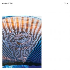 Download track Wake. Repeat (Intro) Elephant Tree